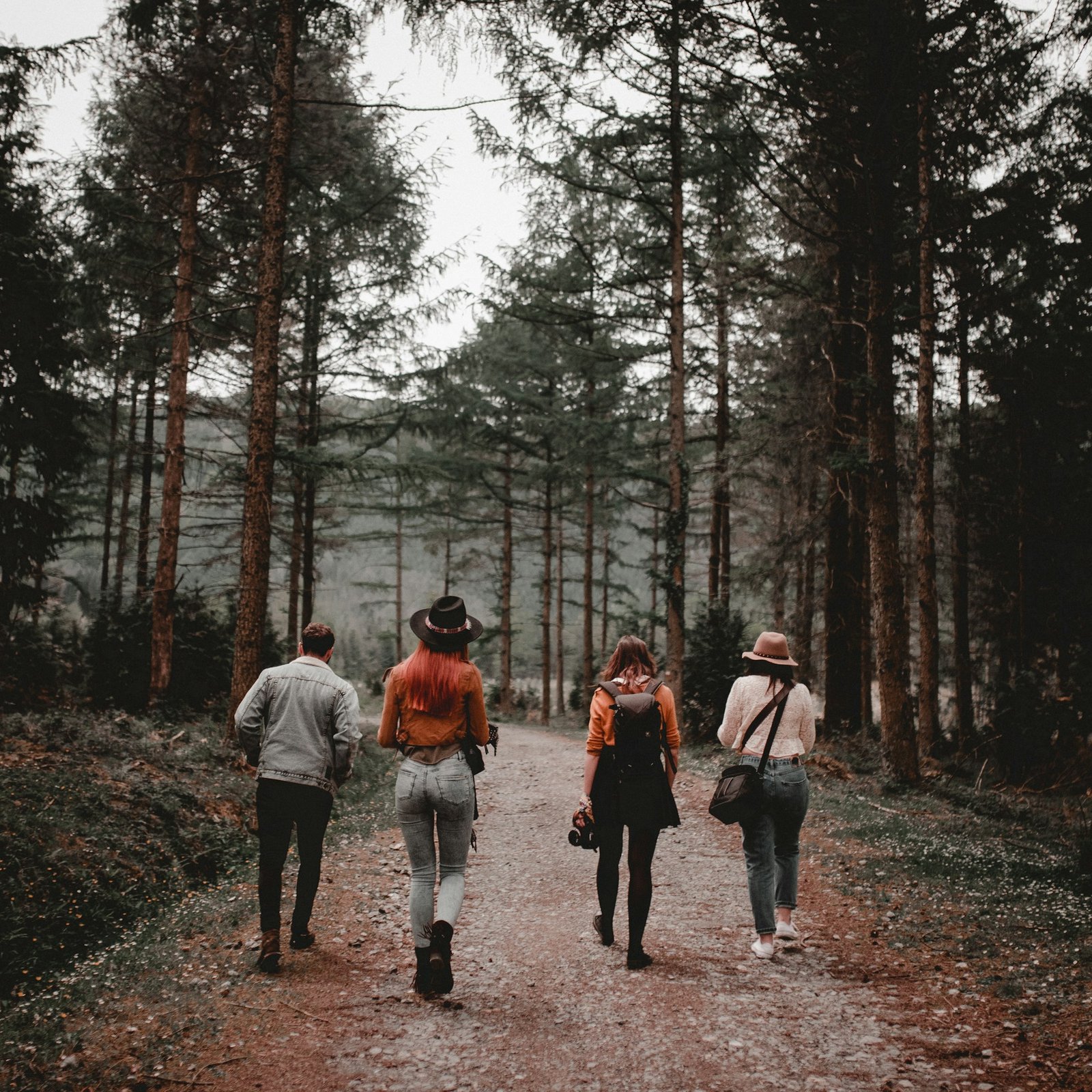 caminata en bosque